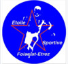 logo ET.S Foissiat 1