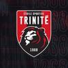 logo ET.S Trinite Lyon 6