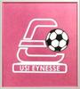 logo US Intercommunale D'eynesse