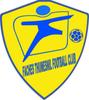 logo Faches Thumesnil FC 21