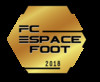 logo FC Espace Foot 1