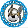 logo FCSTM 1