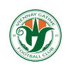 logo FCv.G. 1