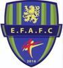 logo Feignies/aulnoye Efc 11