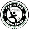 logo Feyzin Cbe 5