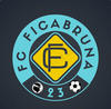 logo Ficabruna 31