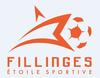 logo Fillinges ES 21