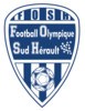 logo FO Sud Herault 22