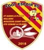 logo Foot Espoir 85 21