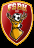 logo Football Saint Benoi 1