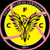 logo Futsal Club de Chateauroux