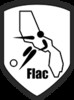 logo Futsal Lac Annecy 1