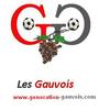 logo Generation Gauvois