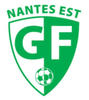 logo GFNE 1