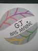 logo GJ Bas Maine Andouil 21