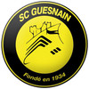 logo Guesnain SC 22