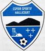 logo Haillicourt ES 2