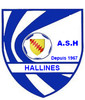 logo Hallines AS 1