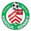 logo Groupe S. Haroue Benney