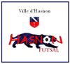 logo Hasnon Futsal