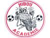 logo Hibou Academie 1