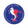 logo Hippocampe de Tarbes 1