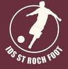 logo Ids St Roch FR 1