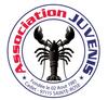 logo Juvenis 2