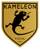 logo Le Kameleon