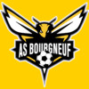 logo Le Bourgneuf AM.S 31