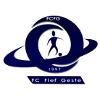 logo Le Fief Geste FC 1