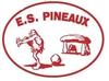 logo Les Pineaux ES 1