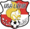 logo Lievin Usa 21