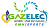 logo Lille Gazelec Npdc 31