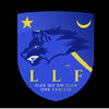 logo LLF 21