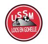 logo Loos en Gohelle Ussm 21