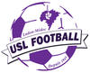 logo Ludonaise US 2