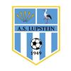 logo Lupstein AS 2