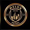 logo Melun Futsal 3