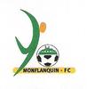 logo Monflanquin FC 3