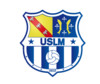 logo Mont St Martin Usl 3