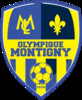 logo Montigny les Cormeilles FO