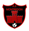 logo AS Montredon Labessonnie