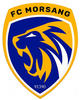 logo Morsang Sur Orge FC 31