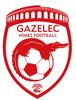 logo N. Gazelec 51