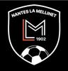 logo Nantes la Mellinet 2