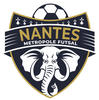 logo Nantes Metrop Futsal 13