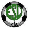 logo ND Landes Esl 1