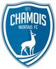 logo Niort Chamois FC 21