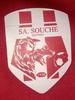 logo Niort Soucheen SA 21